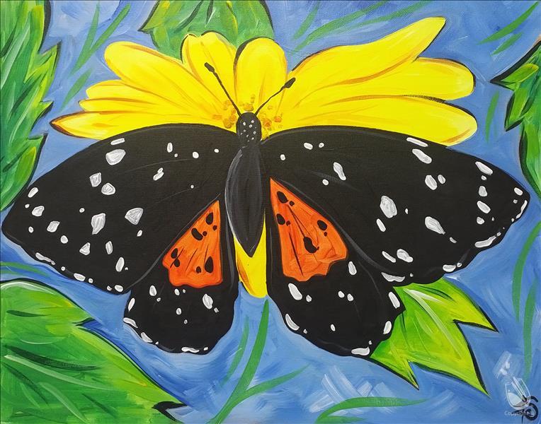 Butterfly Beauty