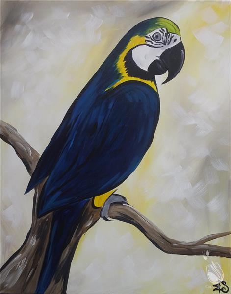 How to Paint Guy the Macaw