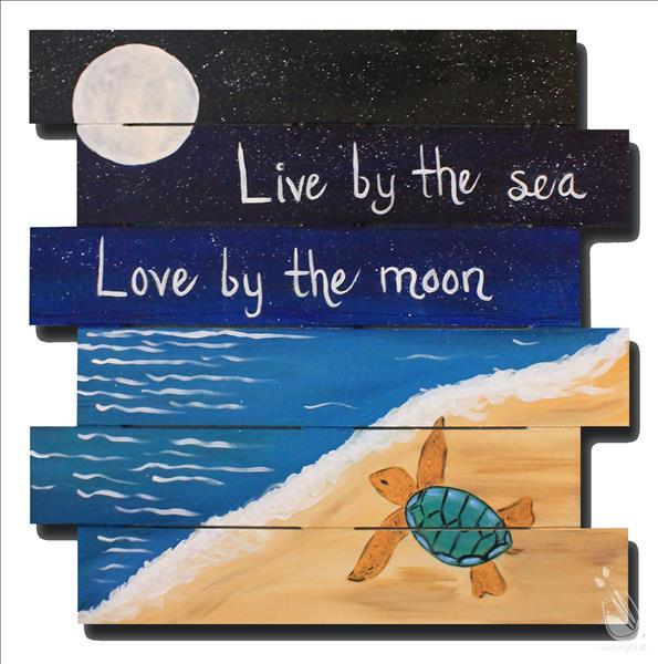 NEW! "Moon Turtle"  Ages 12+ Welcome!