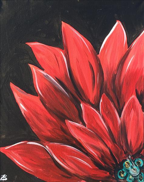 Poinsettia on Black
