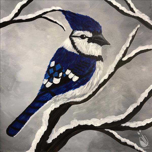Jeffrey's Blue Jay