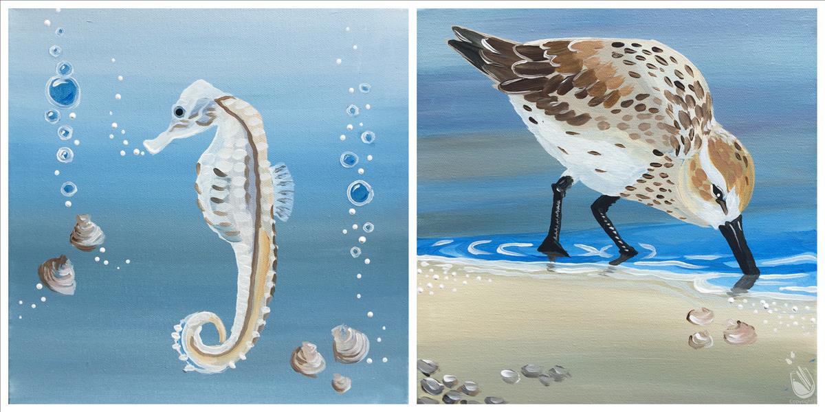 Coastal Friends - Set
