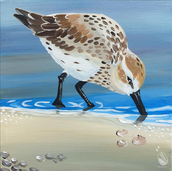 Coastal Friends - Sandpiper