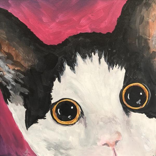 Peekaboo Paint Your Pet - Cat