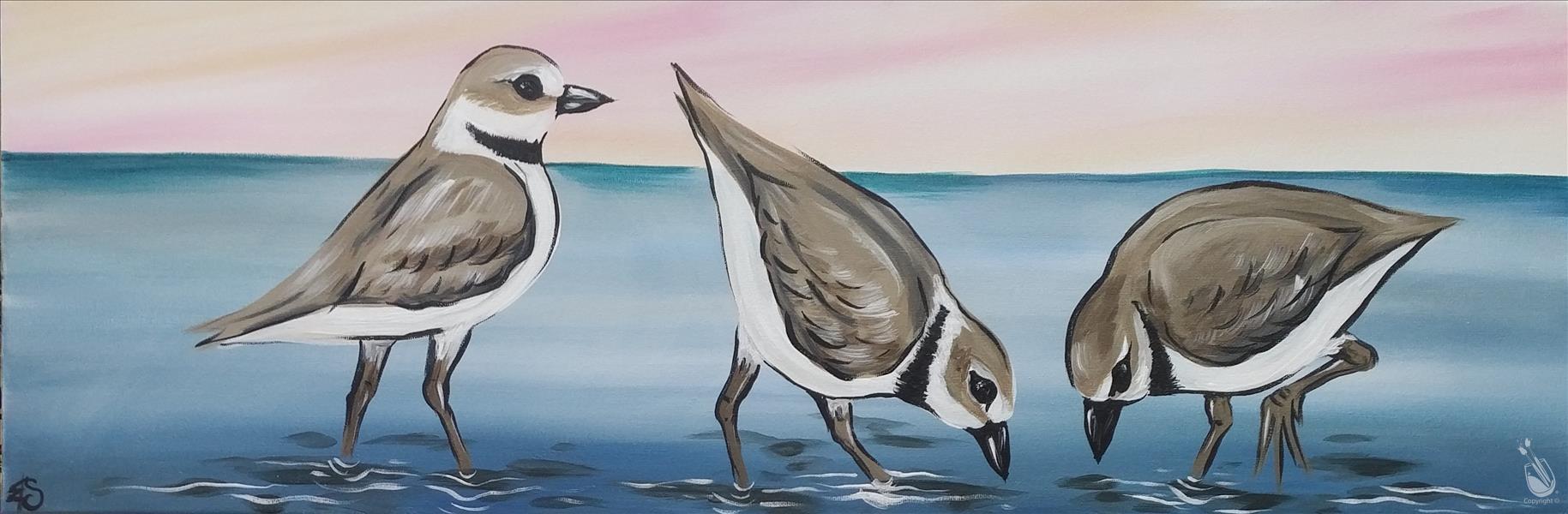 Shorebirds