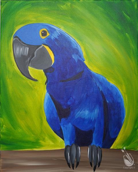 Jellybean the Blue Macaw