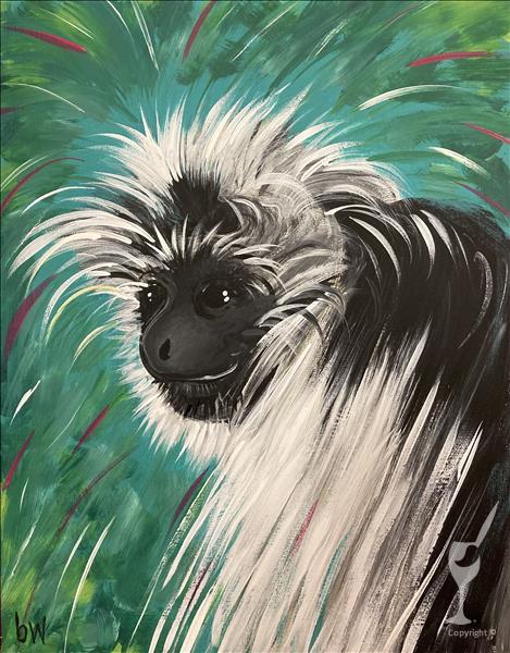 Colorful Colobus