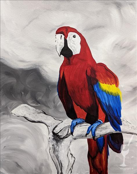 NEW! Living Color: Macaw