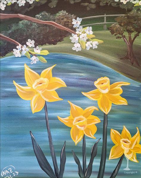 Daffodil's in spring (14+)