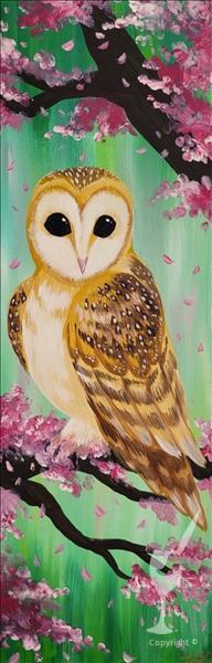 Special 3-hr Event! Barn Owl in Spring