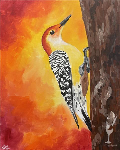 Birdwatching - Red-Bellied Woodpecker