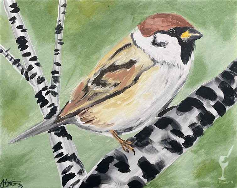 Birdwatching - House Sparrow