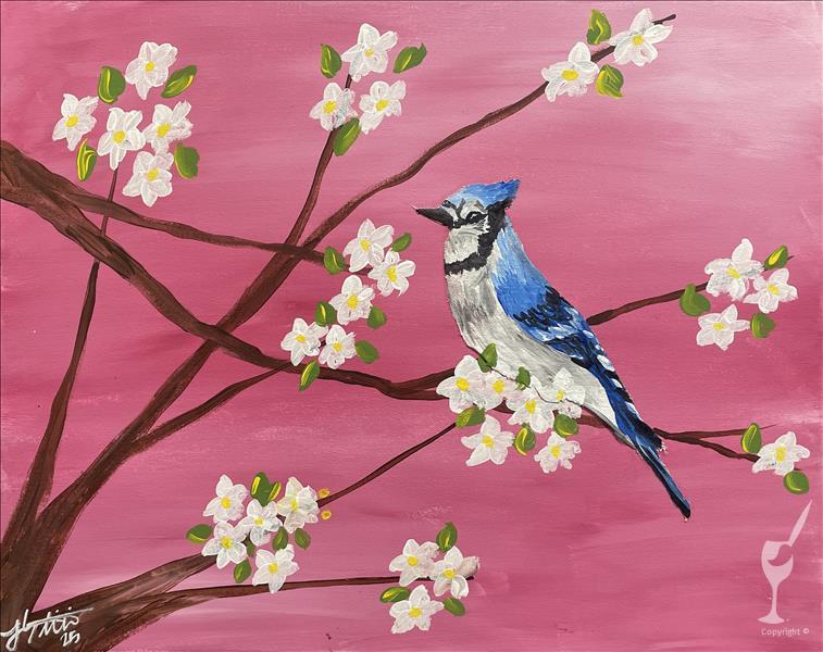 Birdwatching - Blue Jay