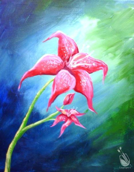 Pink Lily