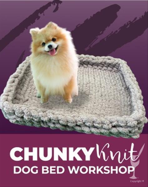NEW! CHUNKY HAND KNIT PET BED WORKSHOP!