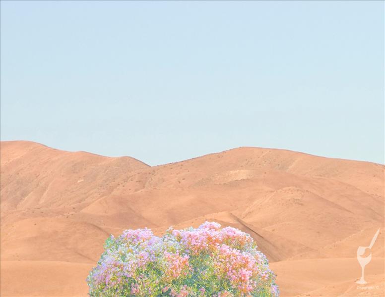 Celebrate The Release of Daytime Moon The Novel