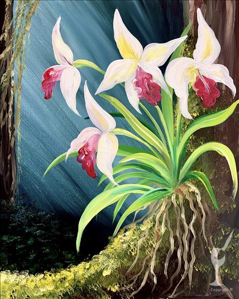 Rainforest Orchid ~ PUBLIC