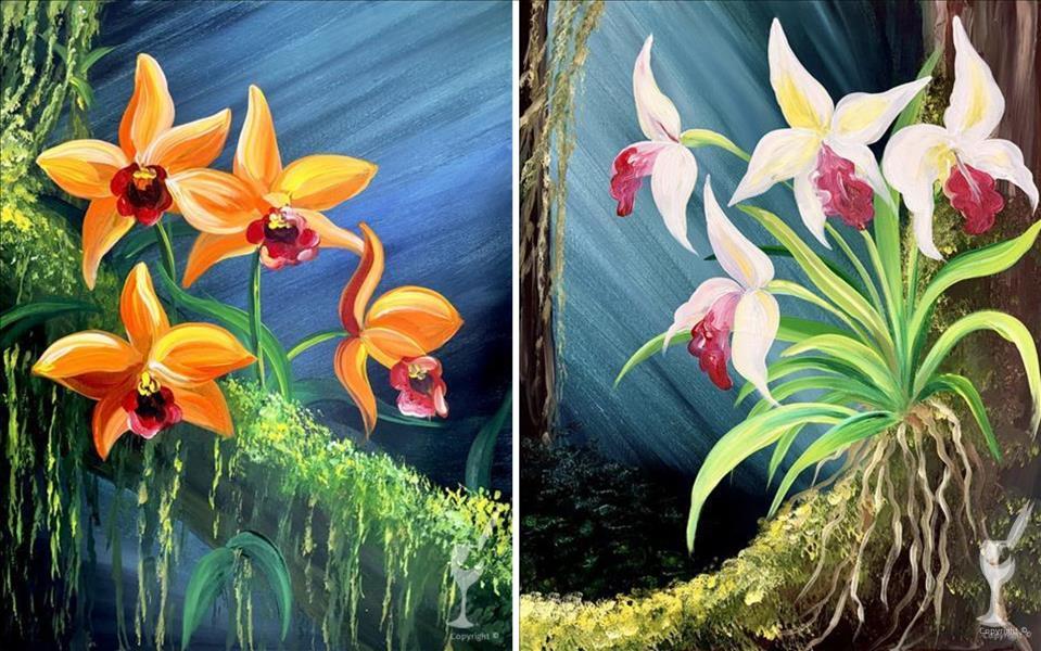 Rainforest Orchid (Pick One)