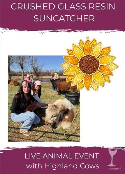 Suncatchers at the Farm: Meet a Highland Calf!