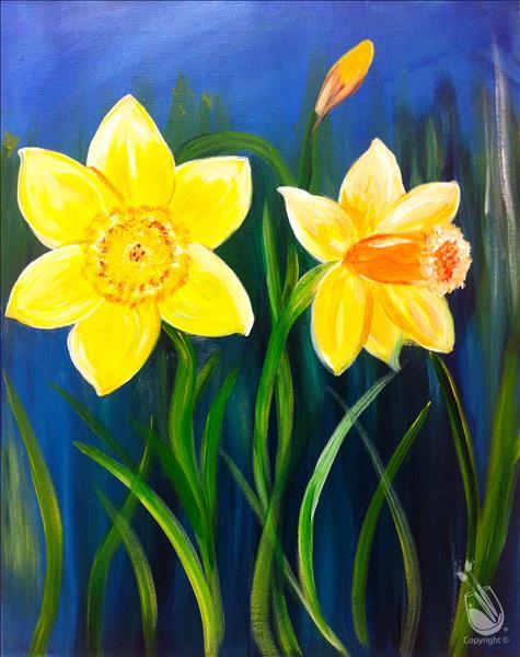 Daffodil Blooms