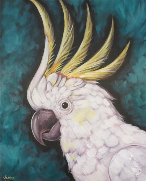 Sensory Friendly! Cockatoo! 3 Hr!