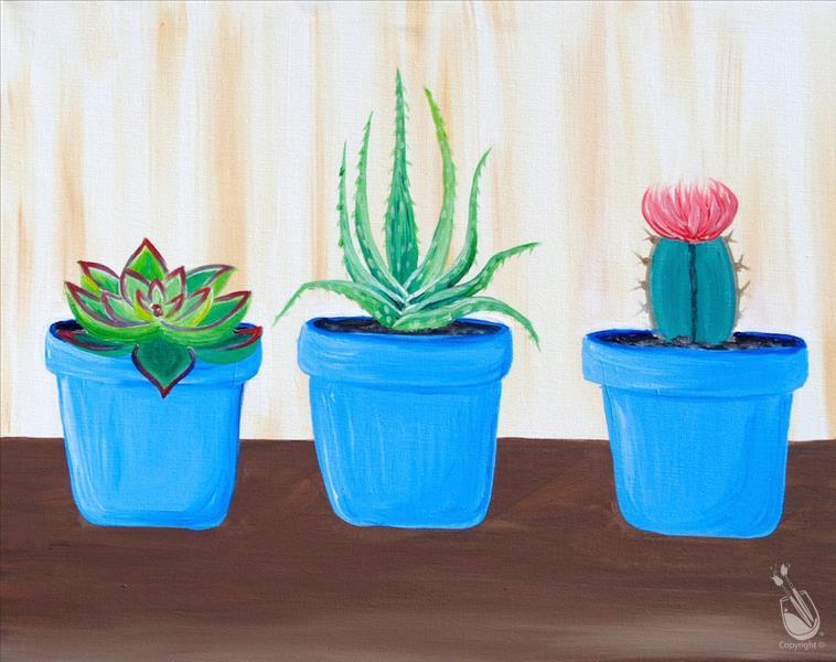 The Succulent Series