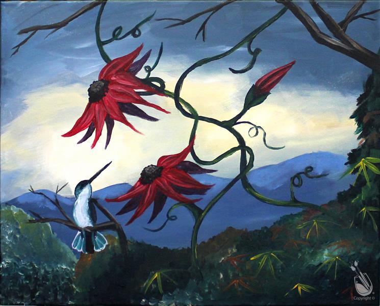 Hummingbird Haven