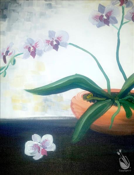 An Orchid in view