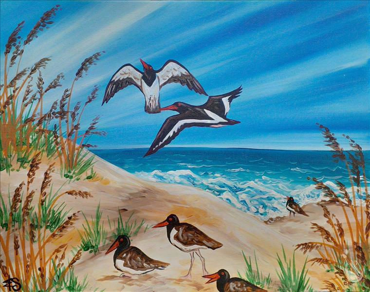 Oystercatchers by the Ocean