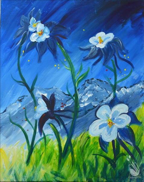 Colorado Mountain Columbines