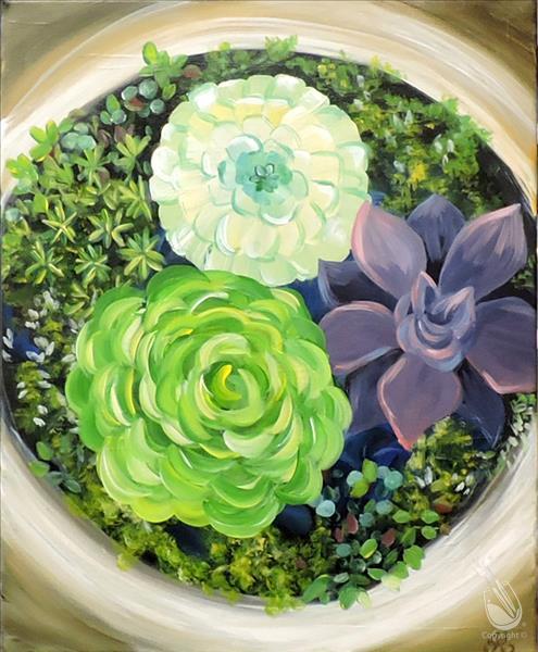 Vibrant Succulent!!!