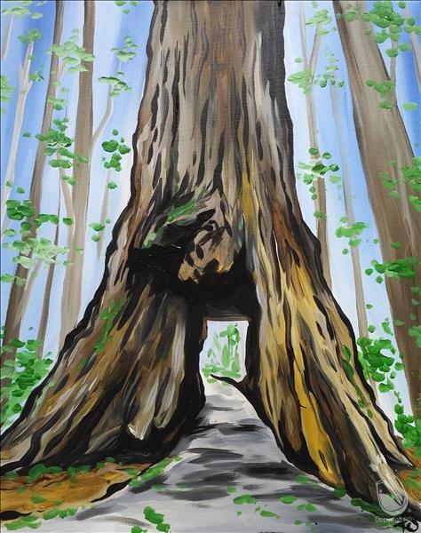 The Pioneer Cabin Tree