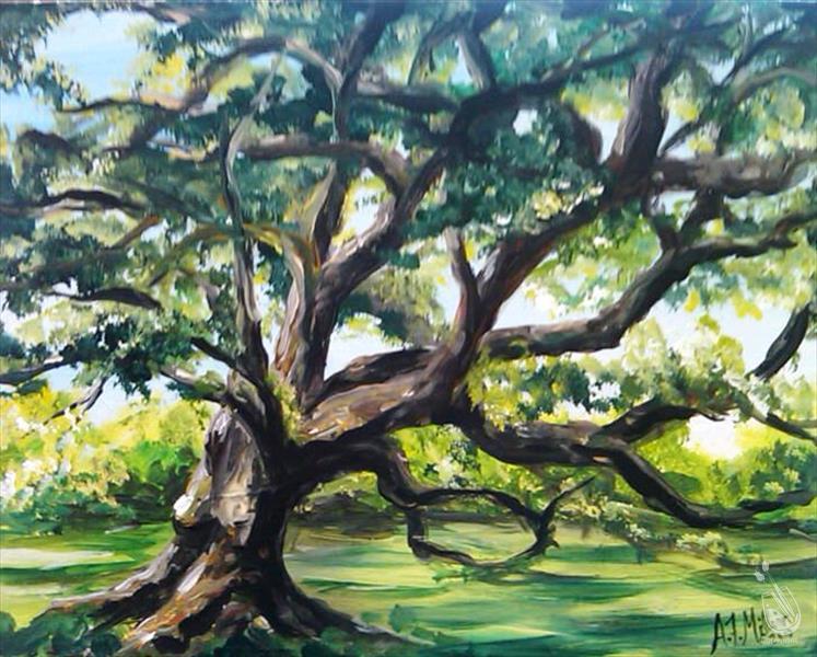 Sallier Oak